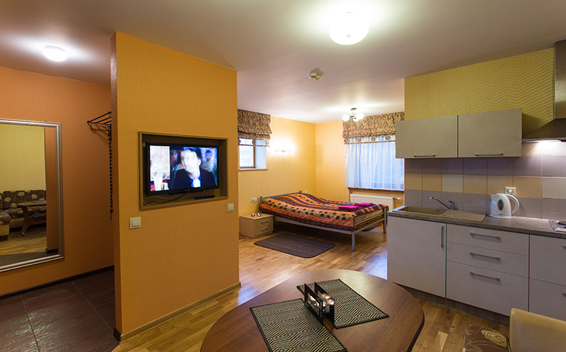 1 KAMBARIO APARTAMENTAI SU ATSKIRU ĮĖJIMU, 1 AUKŠTE, Druskininkai