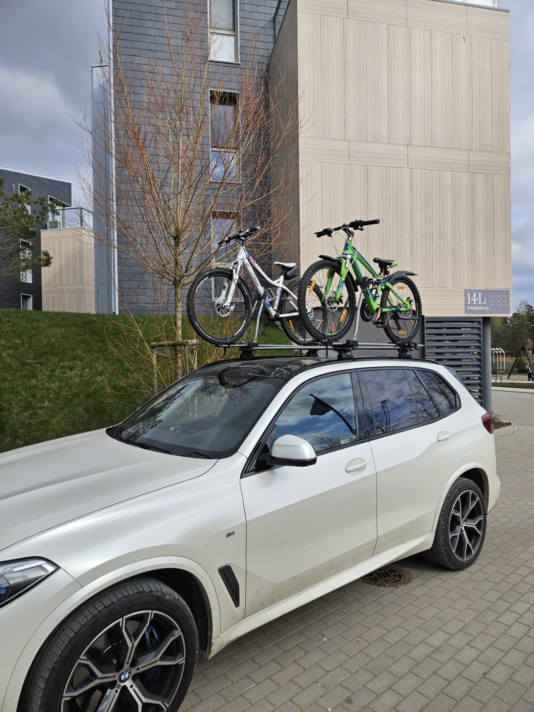 Stogo bagažinės Thule XXL nuoma