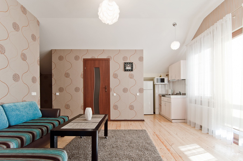 Trumpalaikė nuoma 2 KAMBARIŲ APARTAMENTAI, Druskininkai