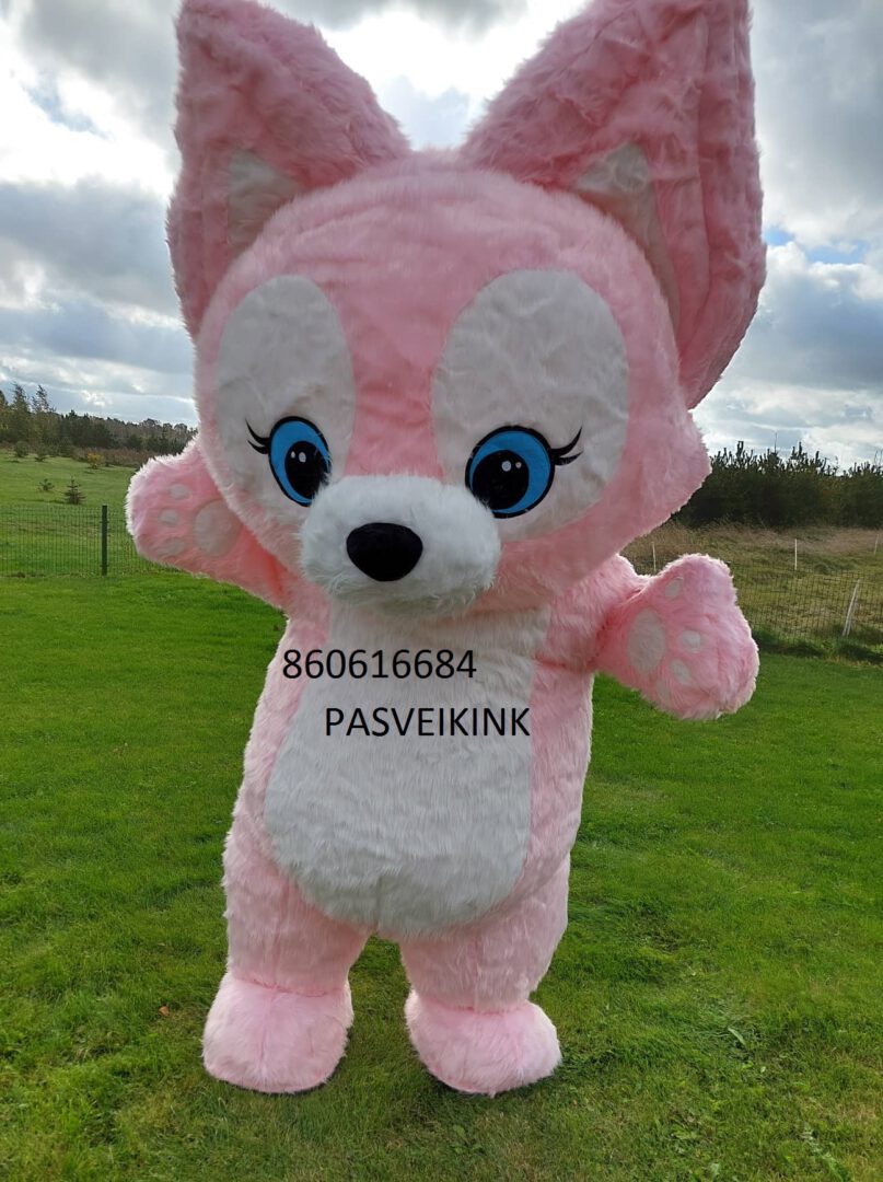 pripuciamu batutu nuoma putu sou meskuciai cukraus vatos burbulu masinos el generaturio nuoma