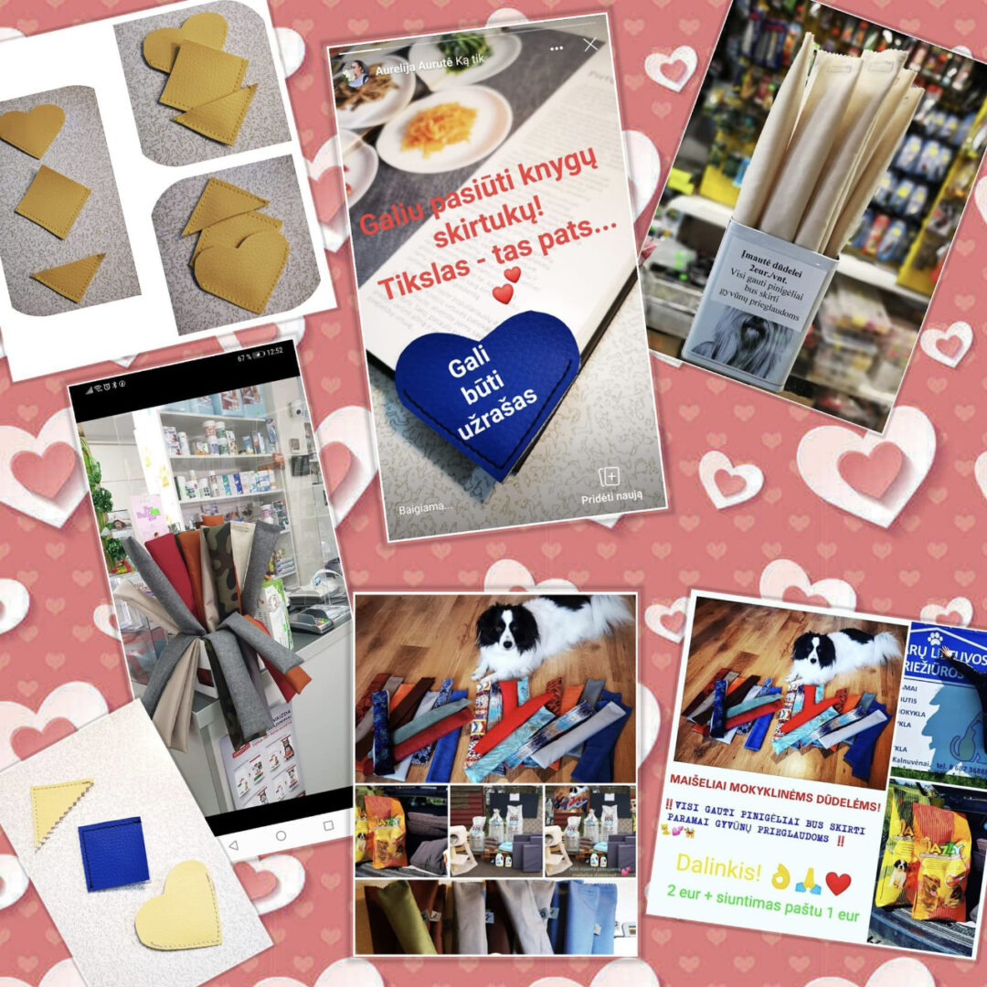 Maišeliai mokyklinėms dūdelėms