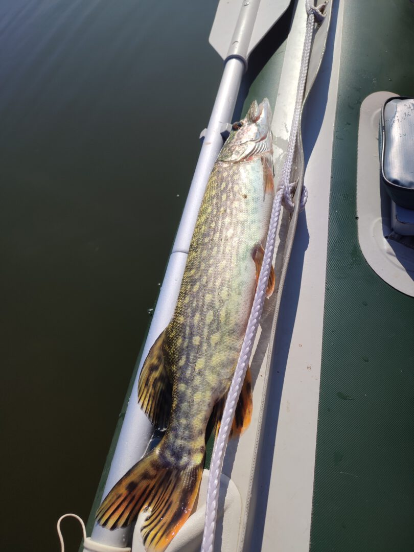 PRIPUČIAMOS VALTIES NUOMA