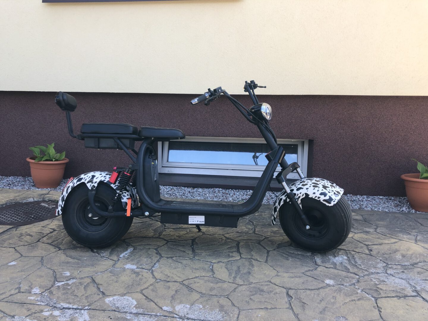 El. paspirtukų nuoma Palangoje