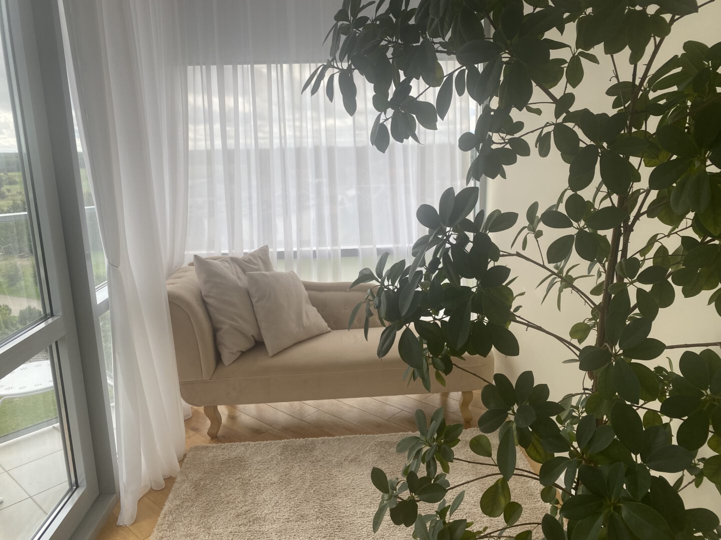 Jaukūs apartamentai prie jūros, Šventoji!