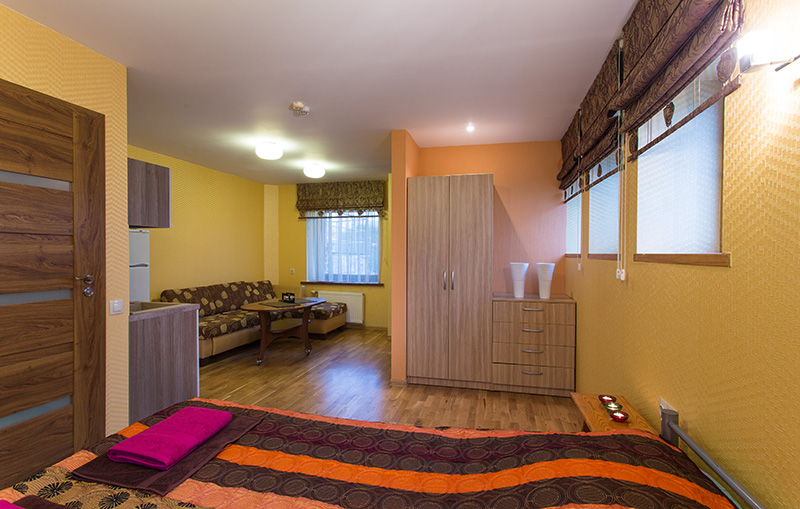 1 KAMBARIO APARTAMENTAI SU ATSKIRU ĮĖJIMU, 1 AUKŠTE, Druskininkai