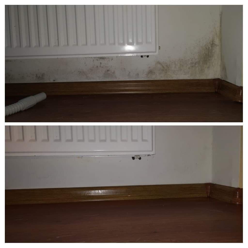 PELĖSIO IR JO GRYBO NAIKINIMO PRIEMONĖ!