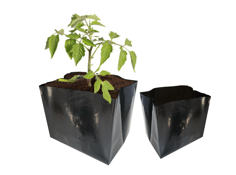 Daiginimo vazonai, plastikiniai indeliai