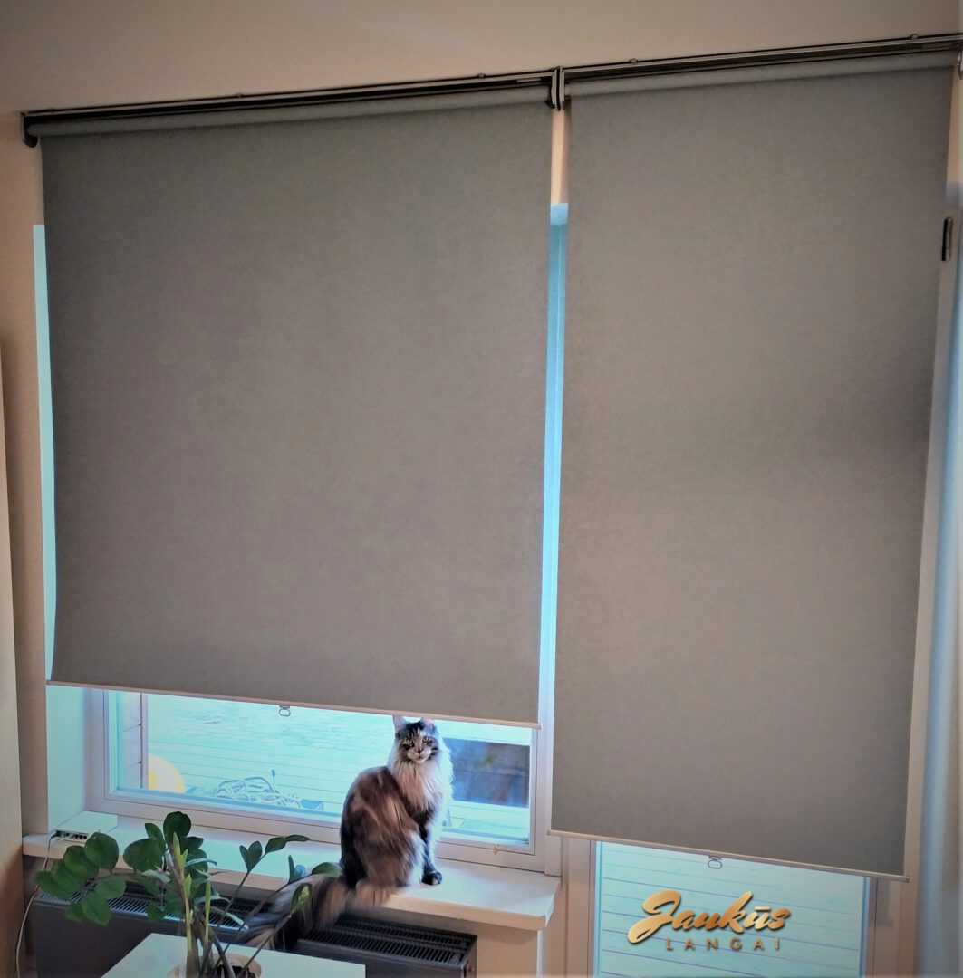 Žaliuzės, roletai, tinkleliai, markizės. Nepriekaištinga kokybė už mažiausią kainą!