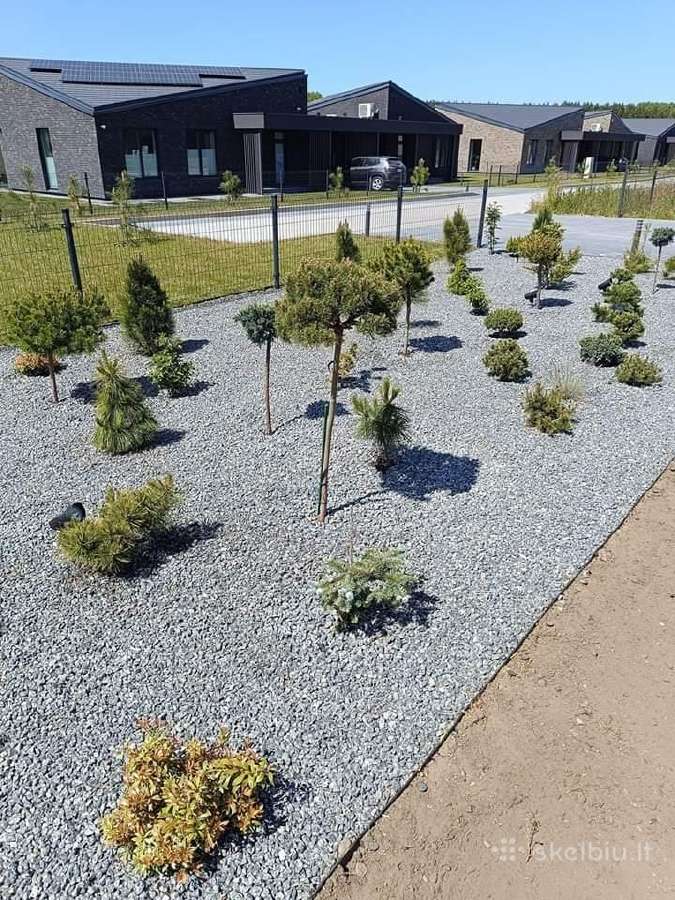 Vejos įrengimas, apželdinimas