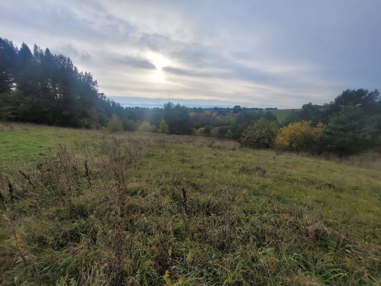 sklypas Varenos r. Prie Sidariškių ežero