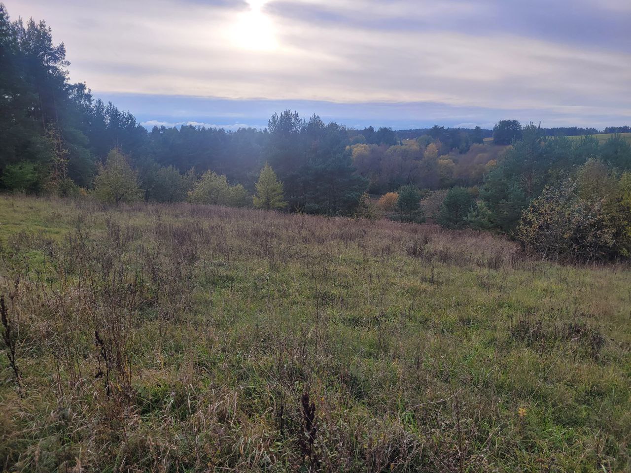 sklypas Varenos r. Prie Sidariškių ežero