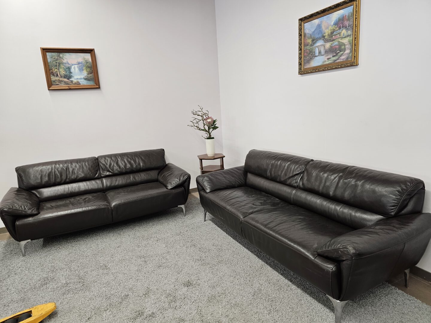 Natūralios odos komplektas