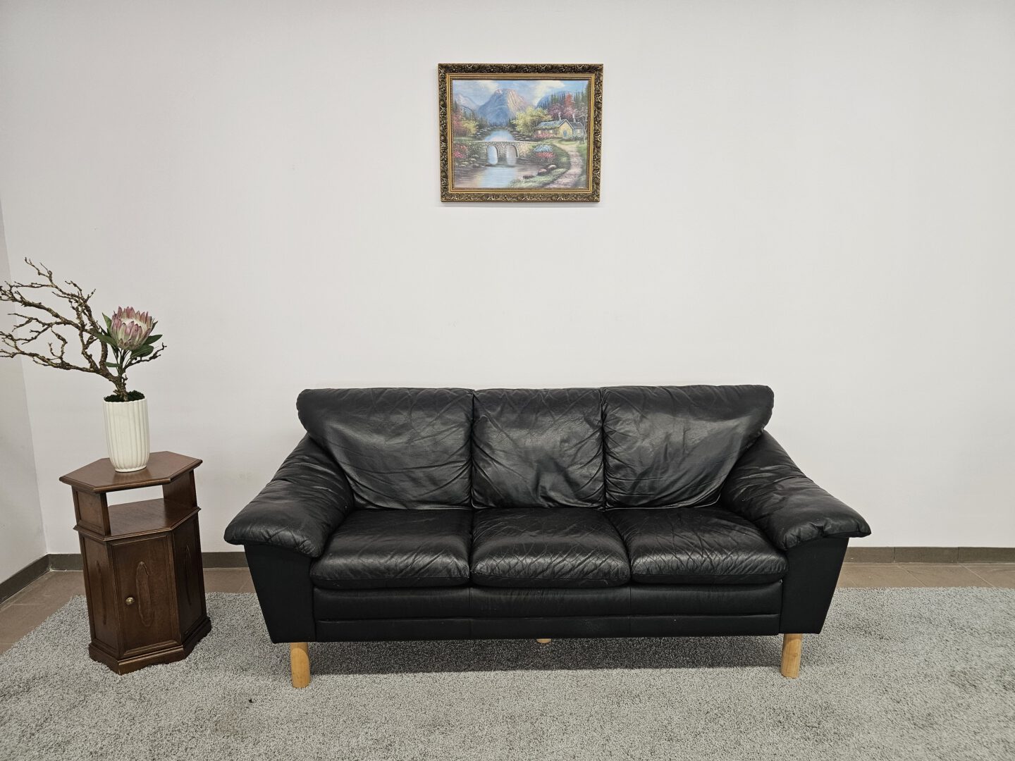 Natūralios odos sofa
