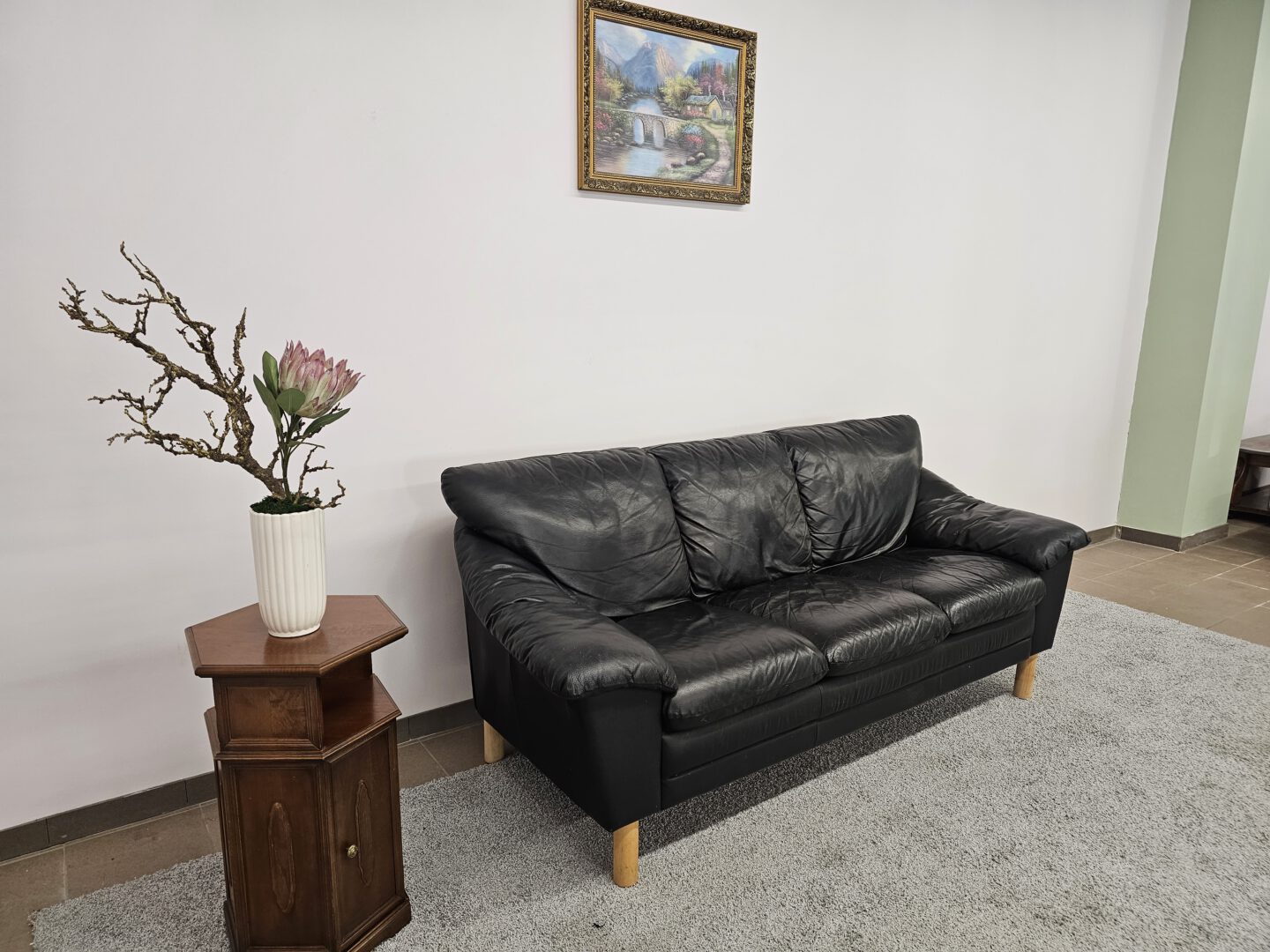 Natūralios odos sofa