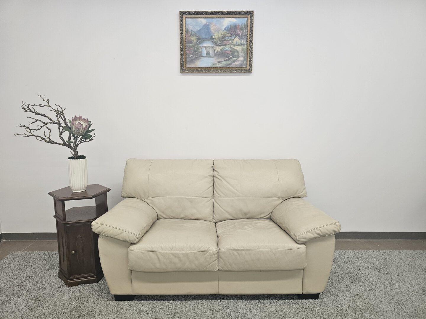 Natūralios odos sofa