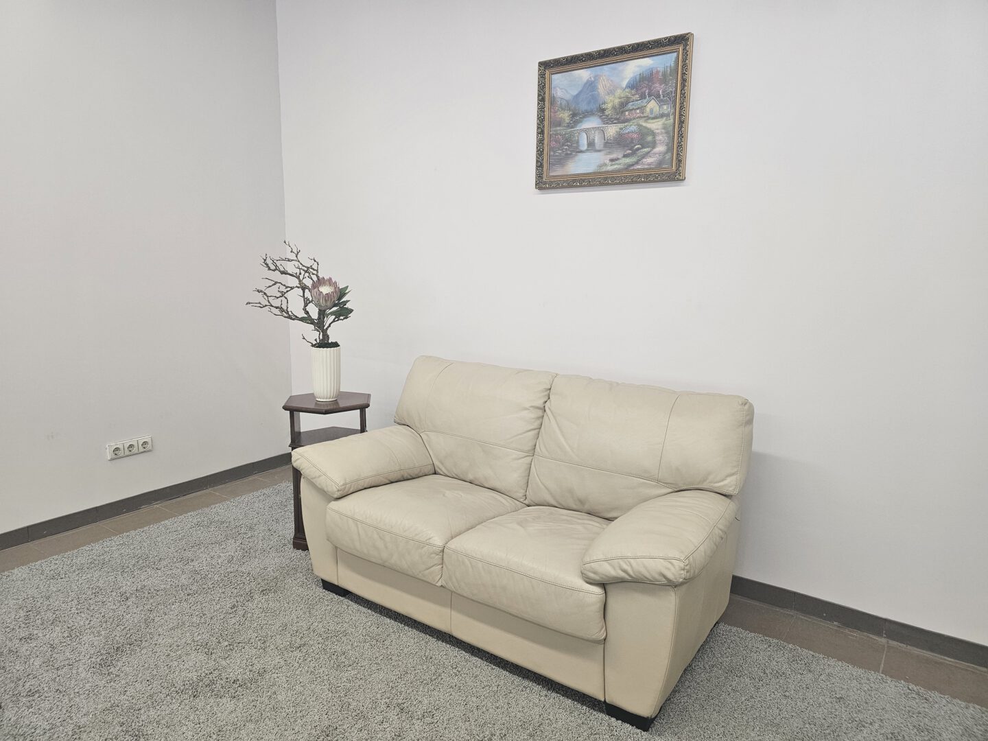 Natūralios odos sofa