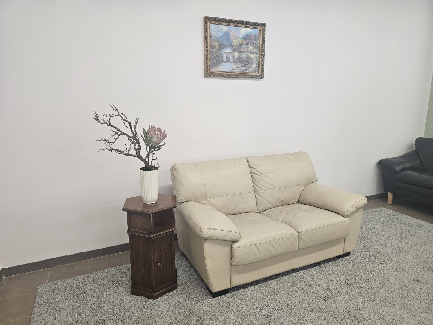 Natūralios odos sofa