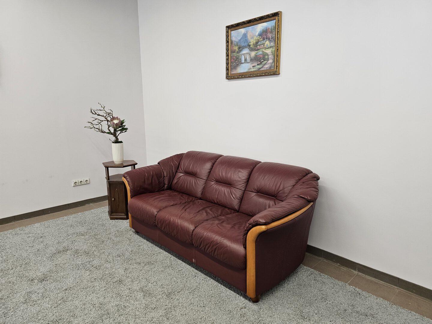 Natūralios odos sofa