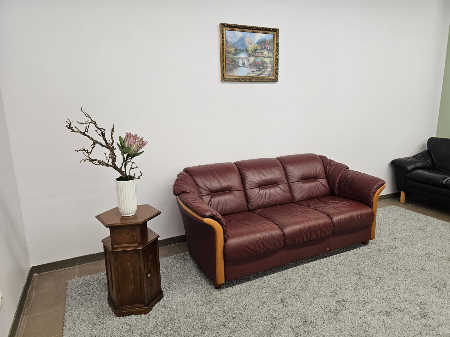 Natūralios odos sofa