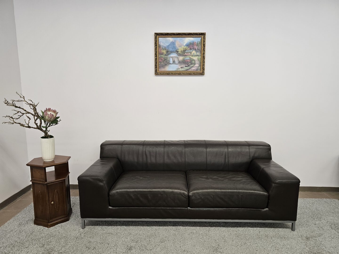 Natūralios odos sofa