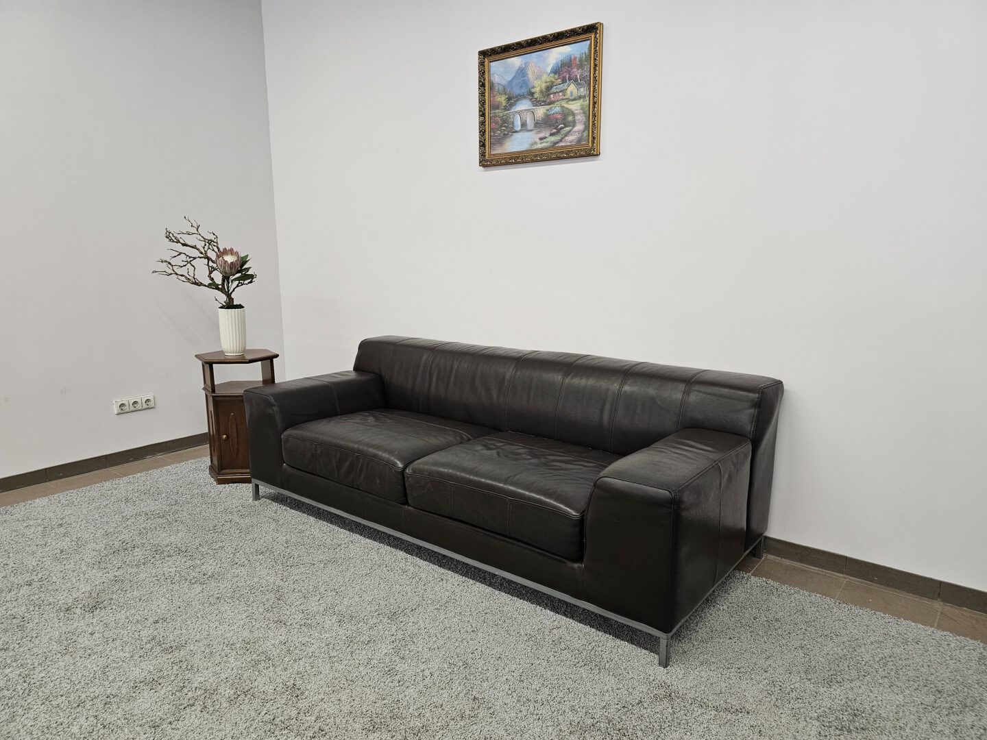 Natūralios odos sofa