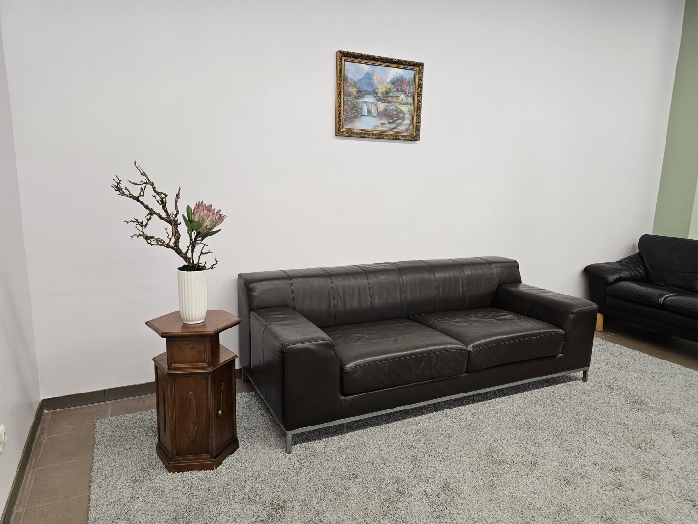 Natūralios odos sofa