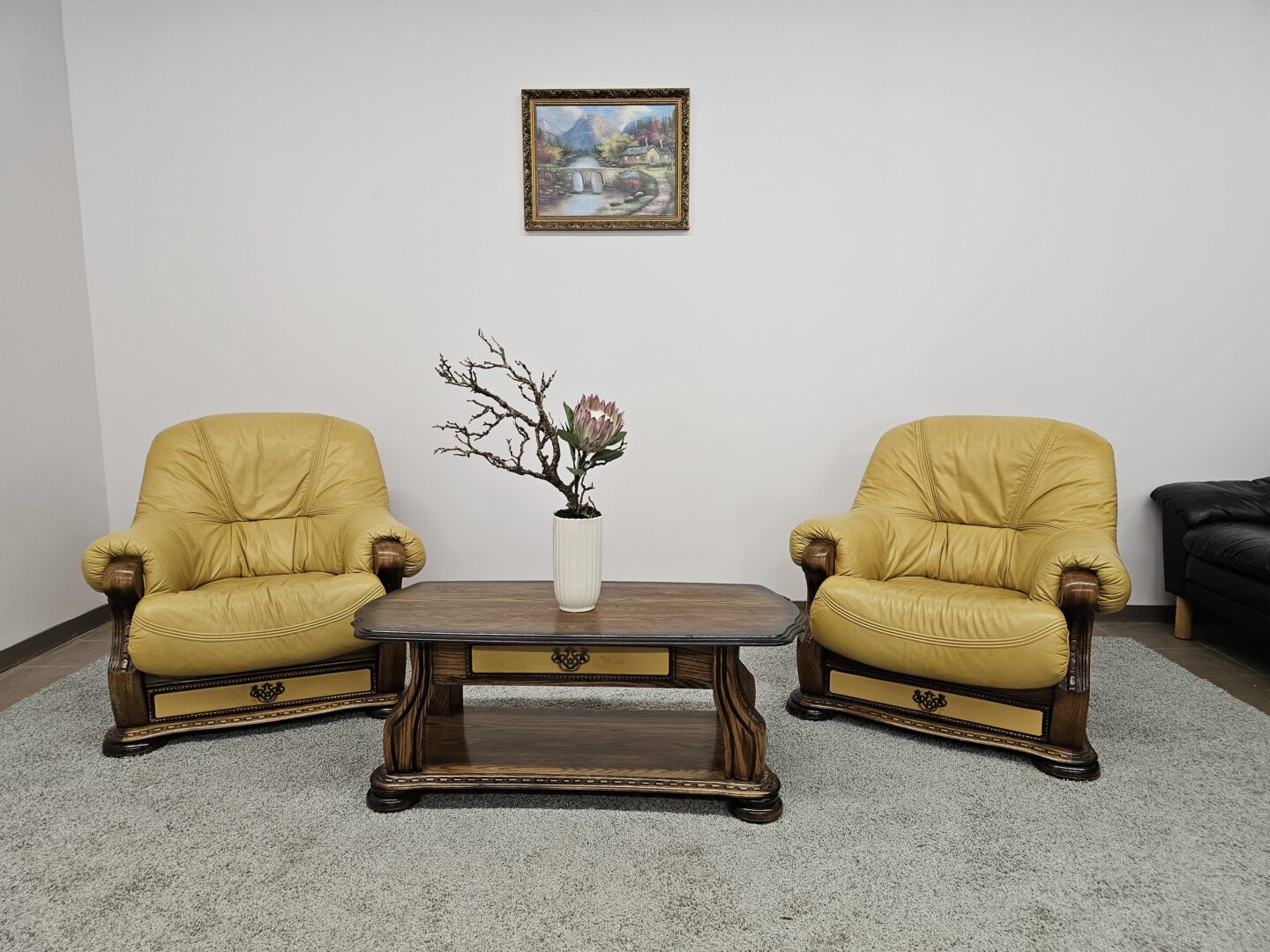 Natūralios odos komplektas