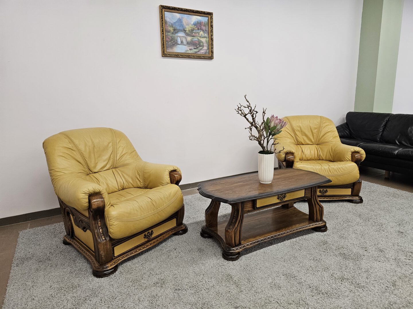 Natūralios odos komplektas