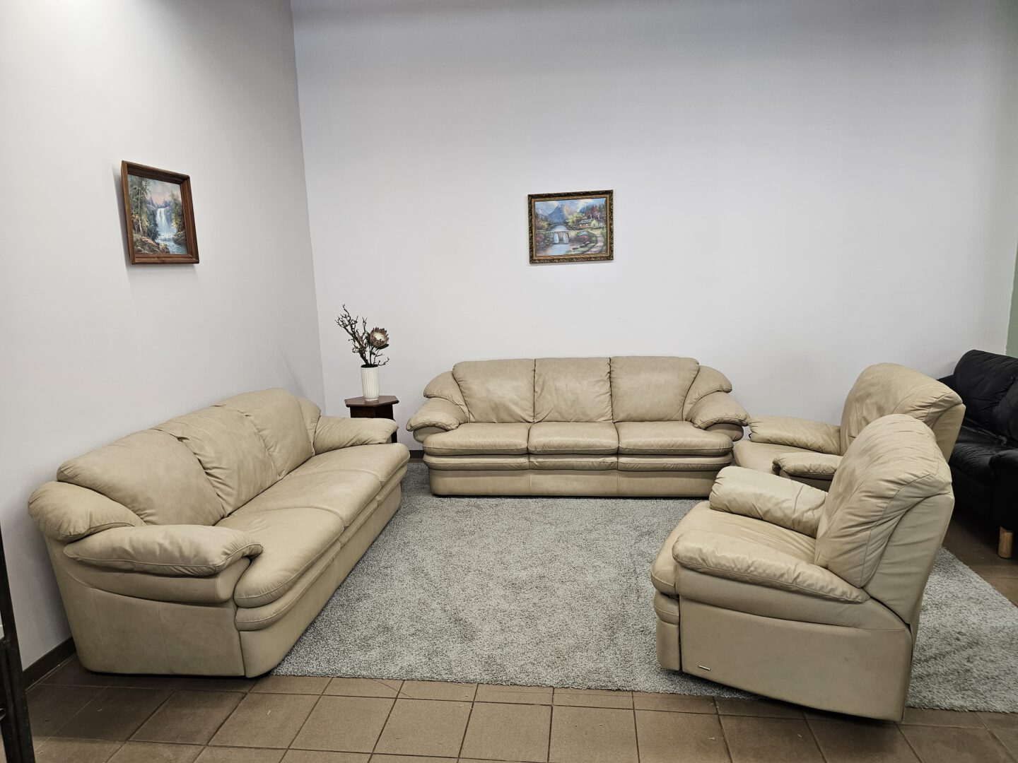 Natūralios odos komplektas