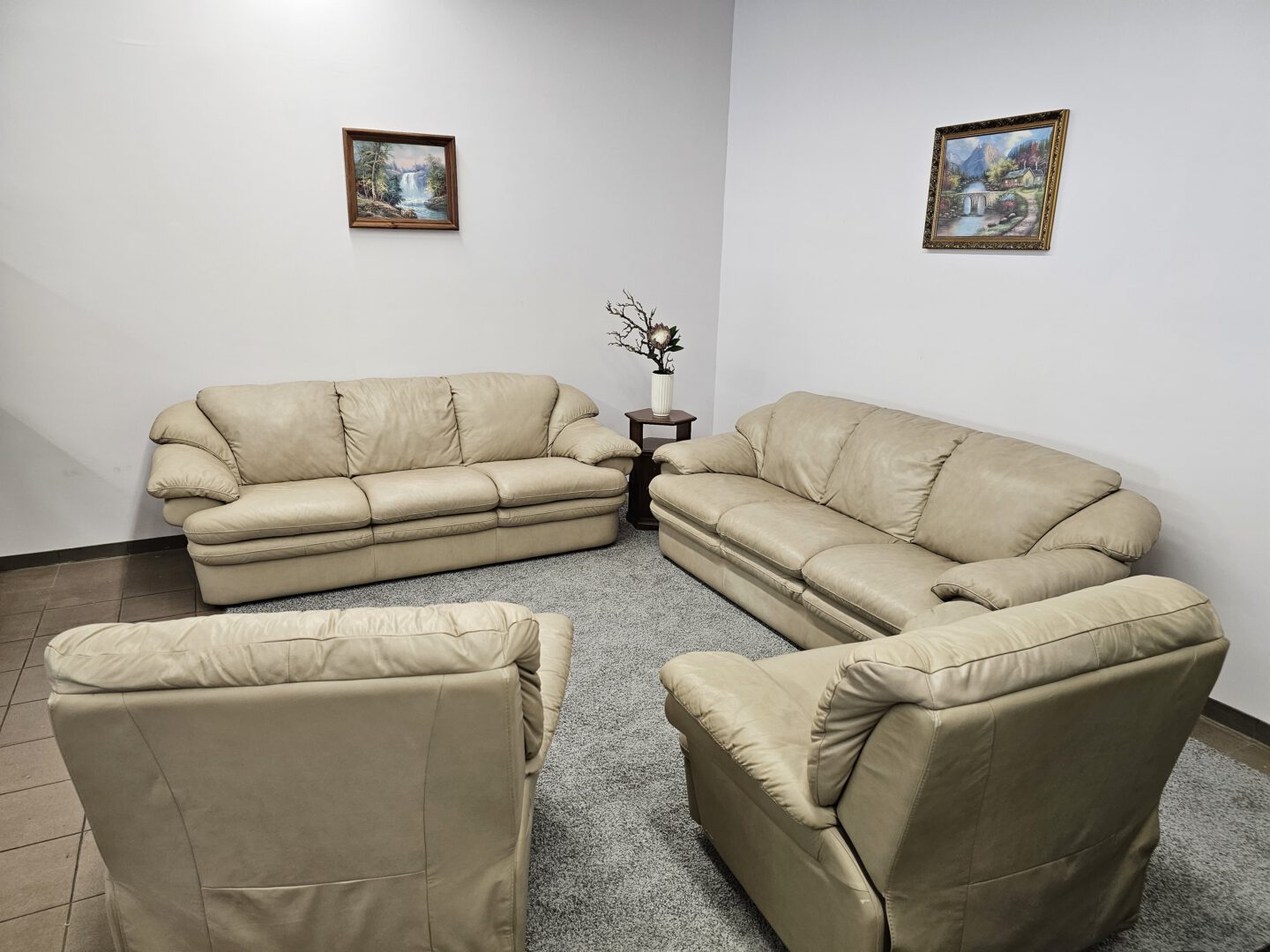 Natūralios odos komplektas