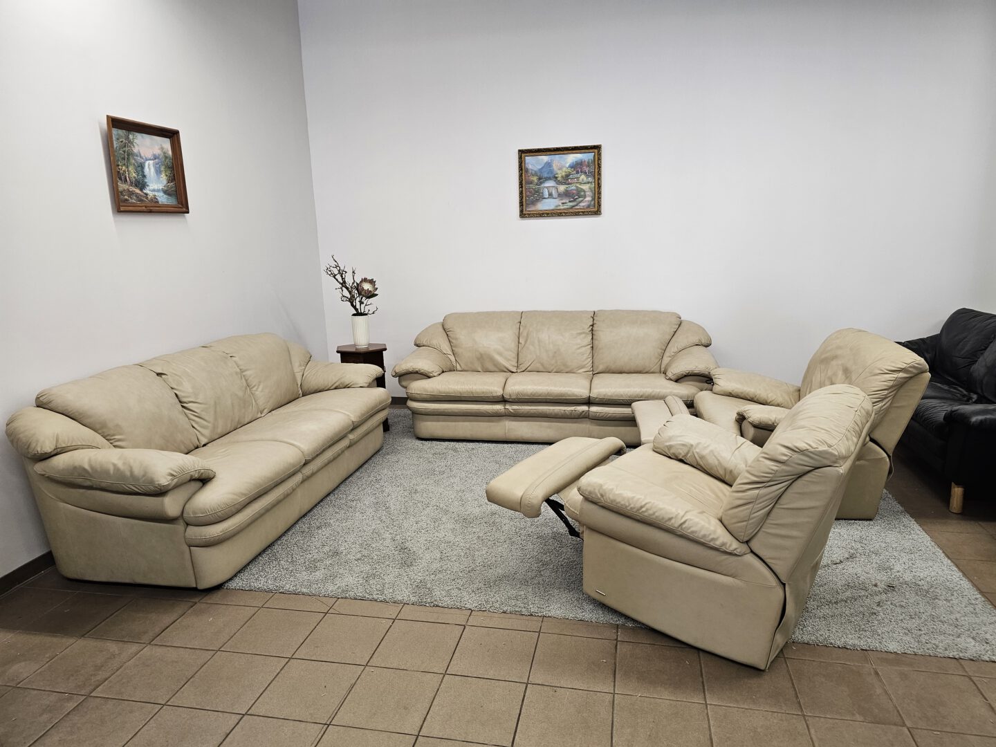 Natūralios odos komplektas