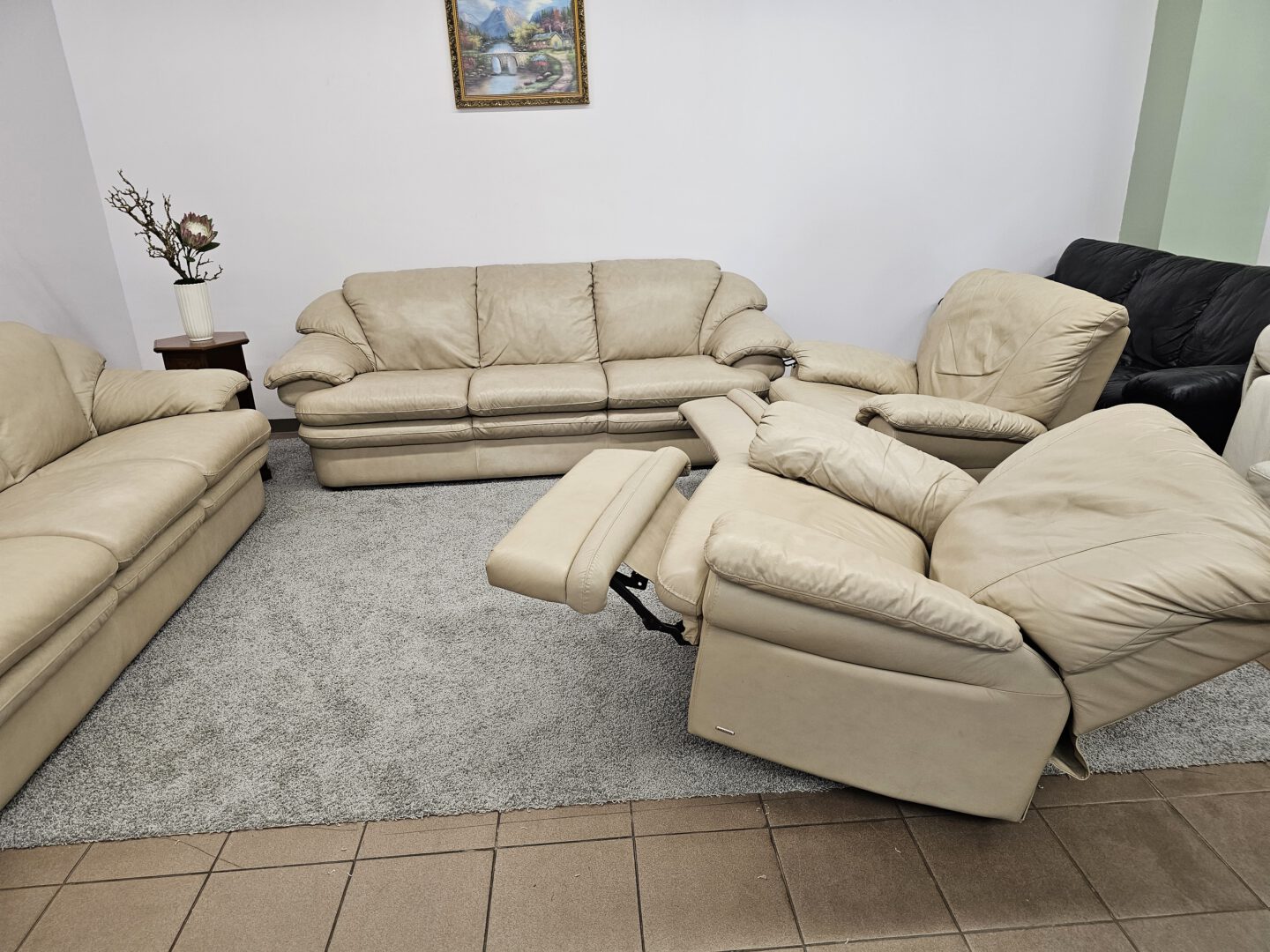 Natūralios odos komplektas