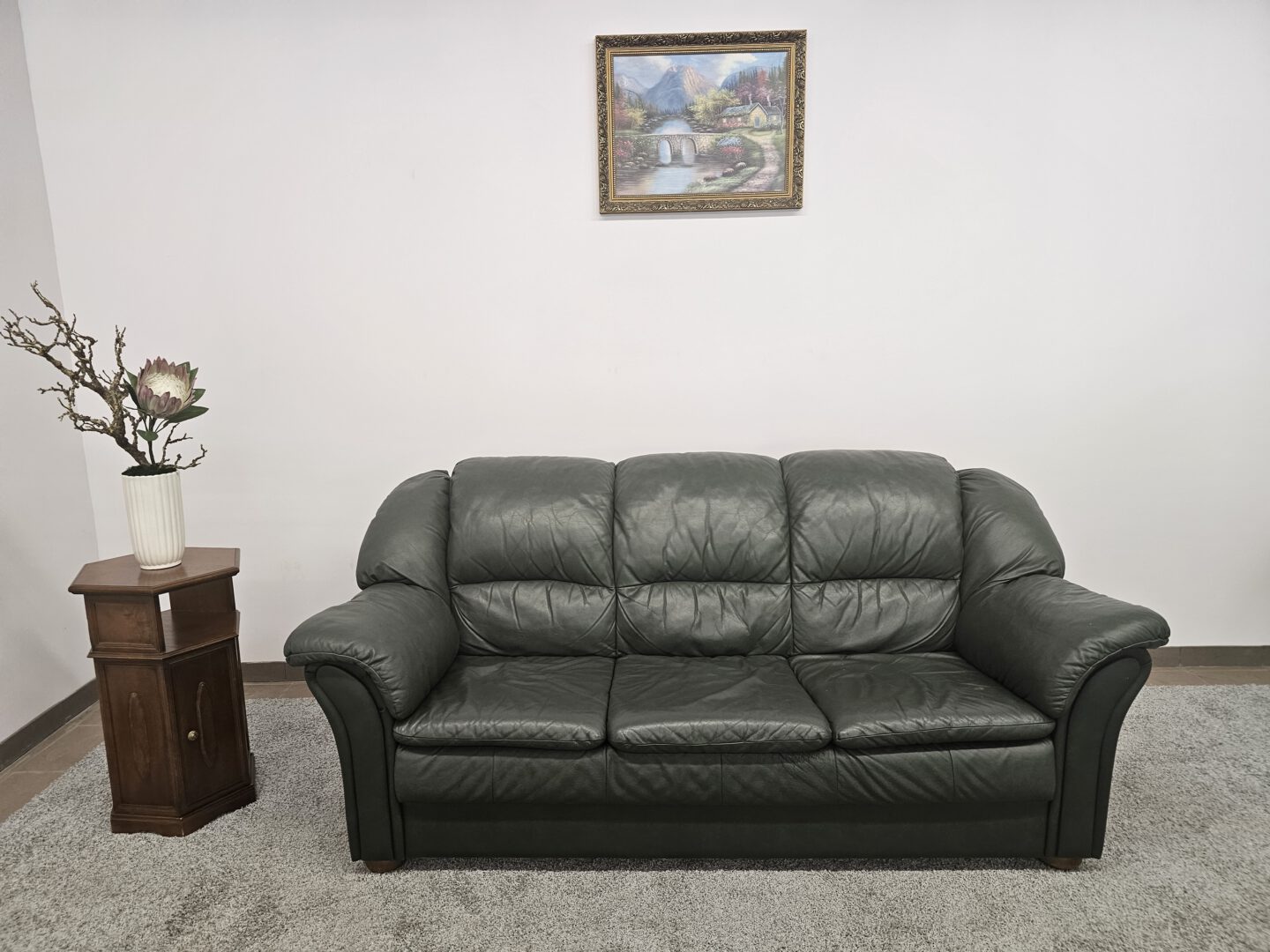 Natūralios odos sofa