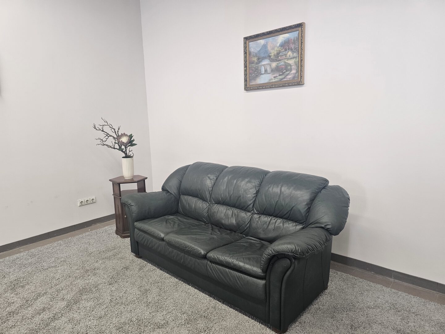 Natūralios odos sofa