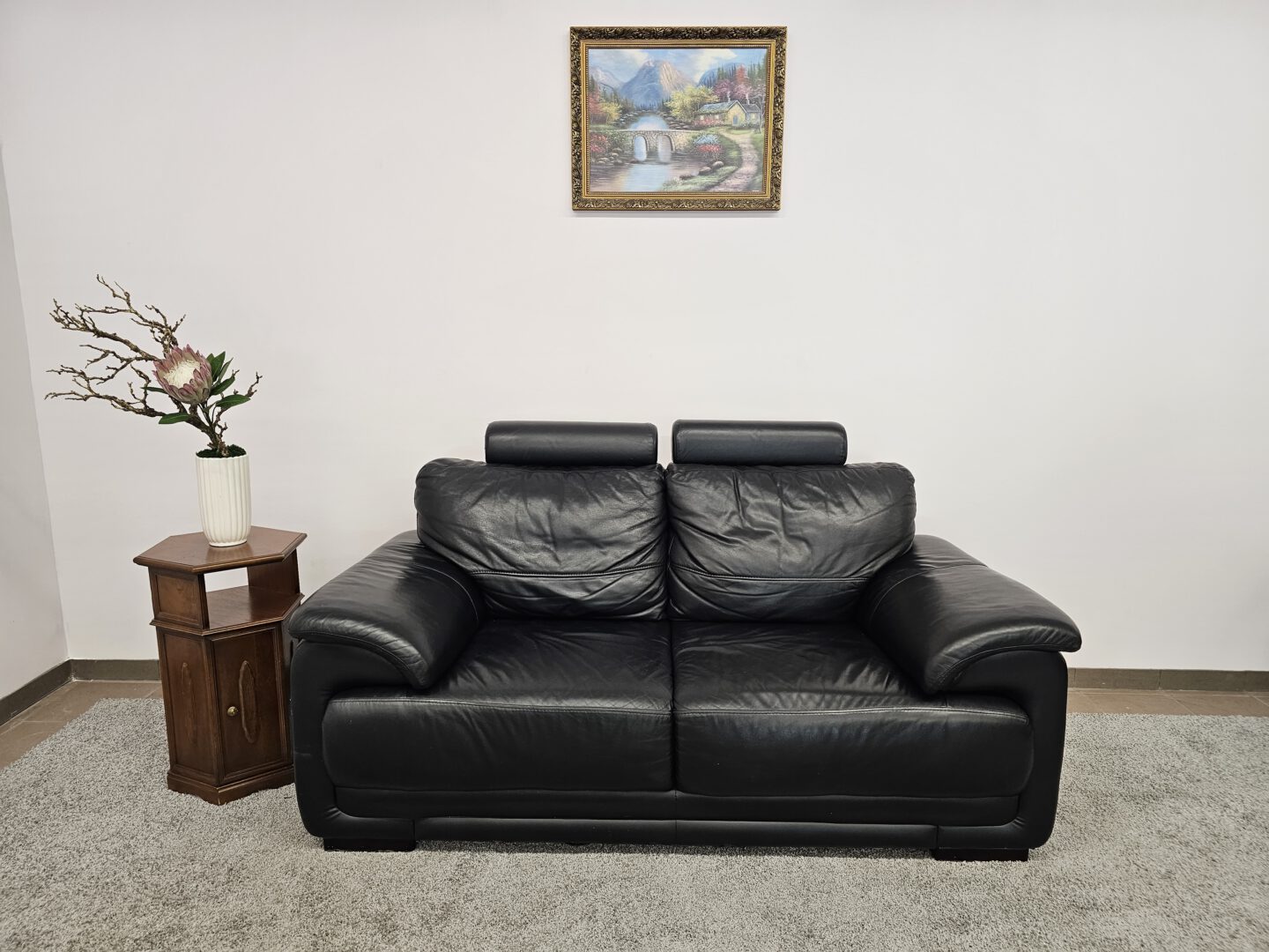 Natūralios odos sofa