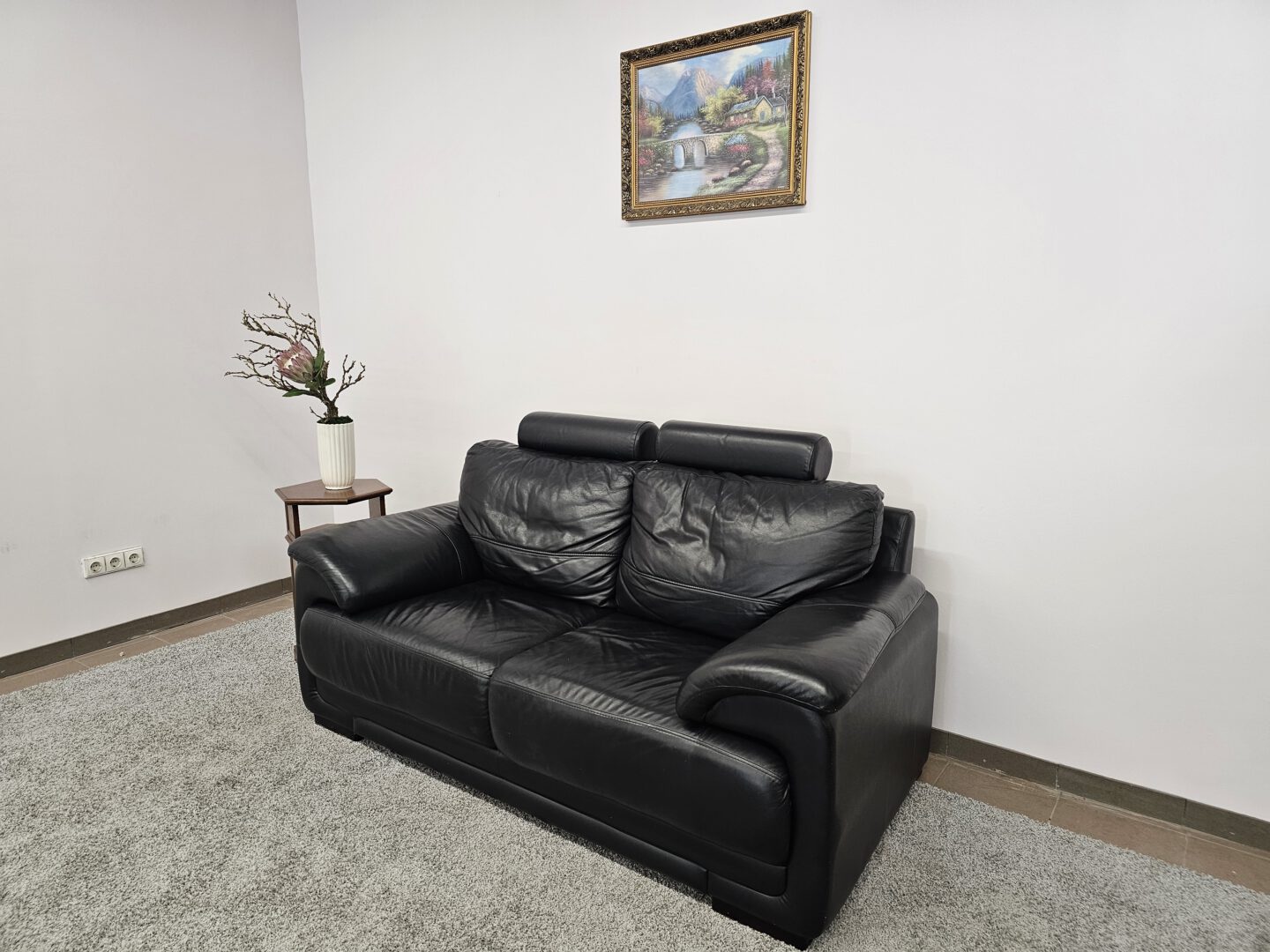 Natūralios odos sofa