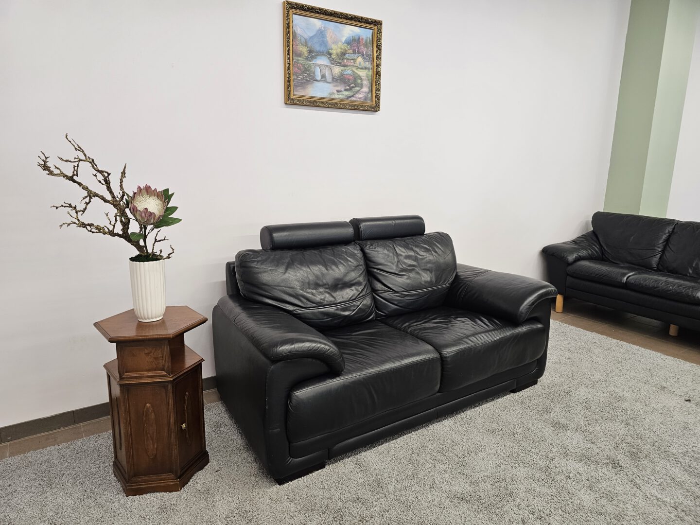 Natūralios odos sofa