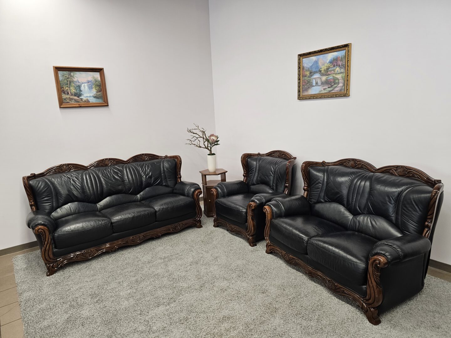 Natūralios odos komplektas