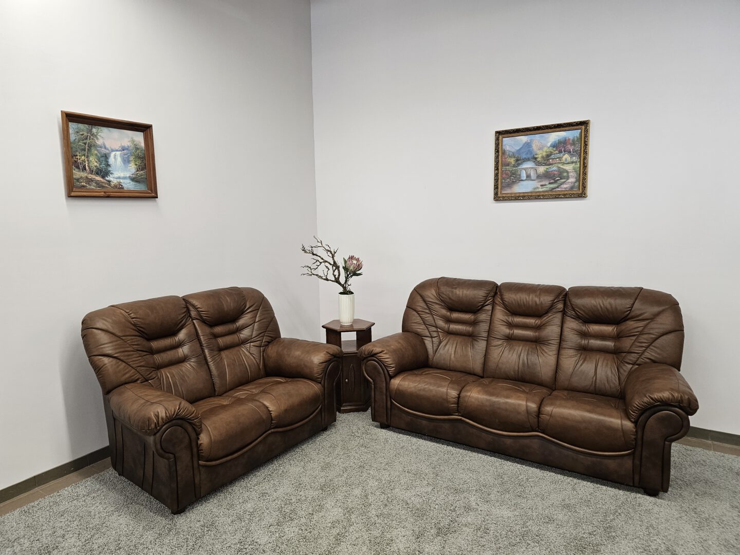 Natūralios odos komplektas