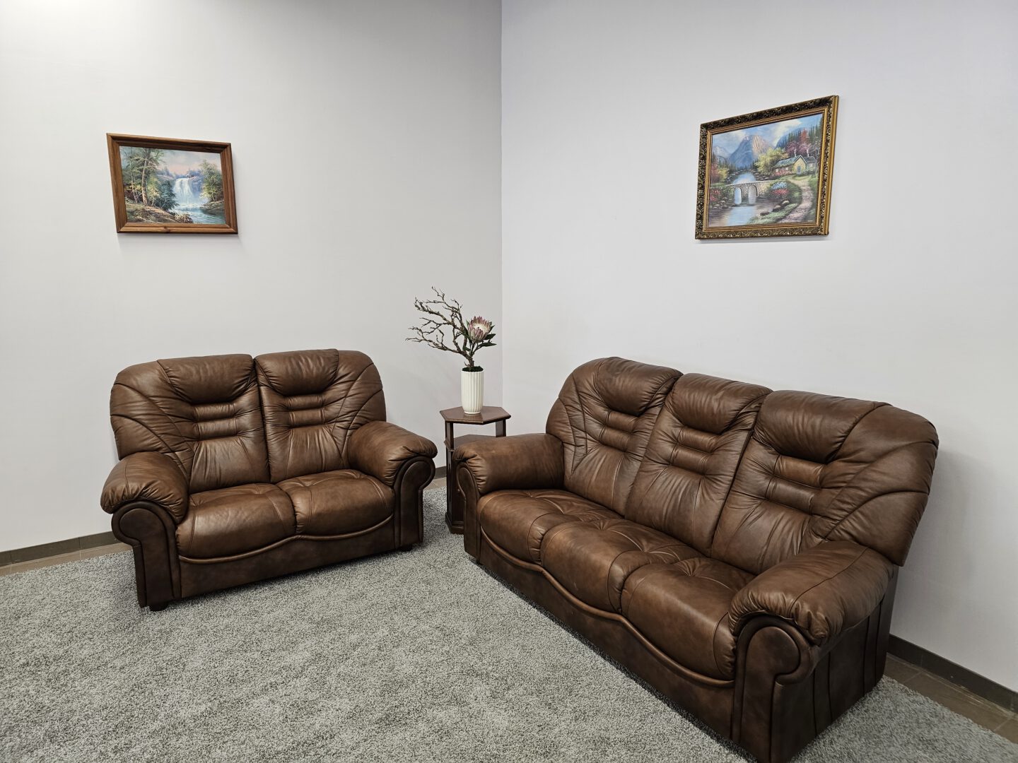 Natūralios odos komplektas