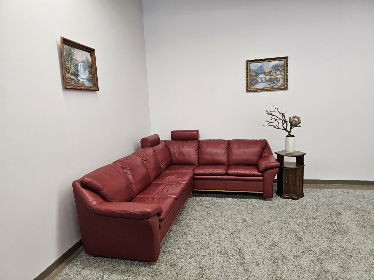 Natūralios odos kampas