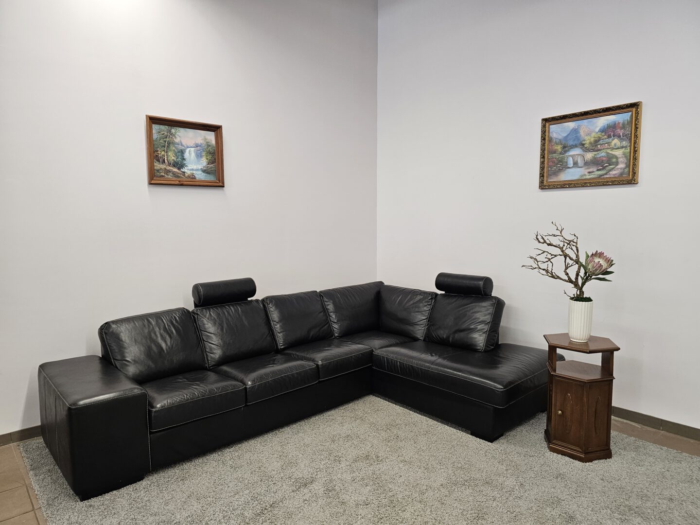 Natūralios odos kampas