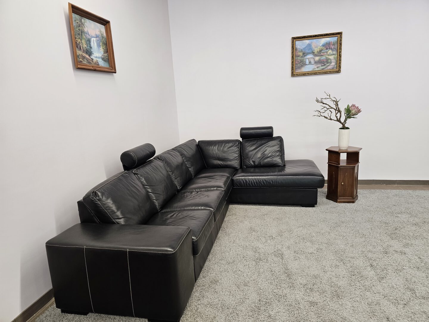 Natūralios odos kampas