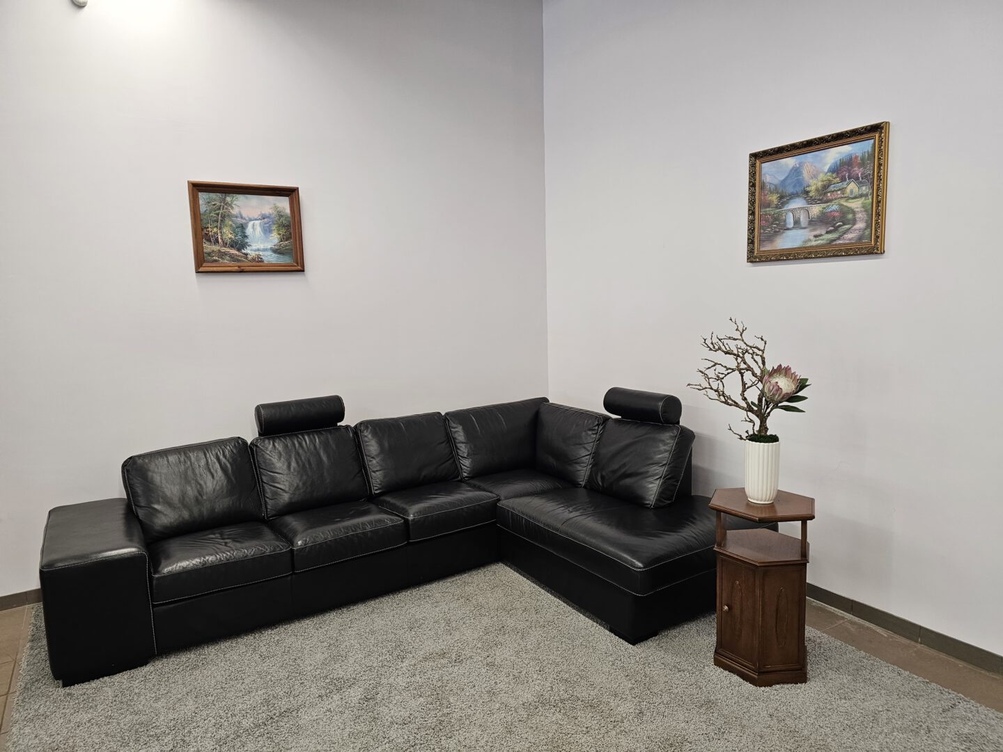 Natūralios odos kampas