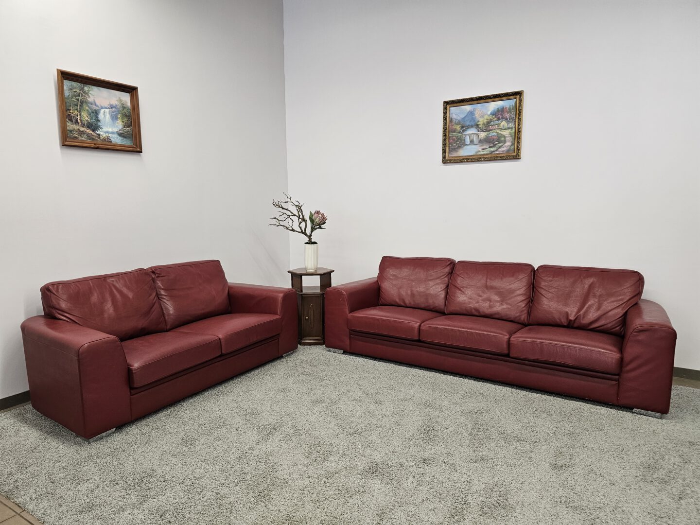 Natūralios odos komplektas