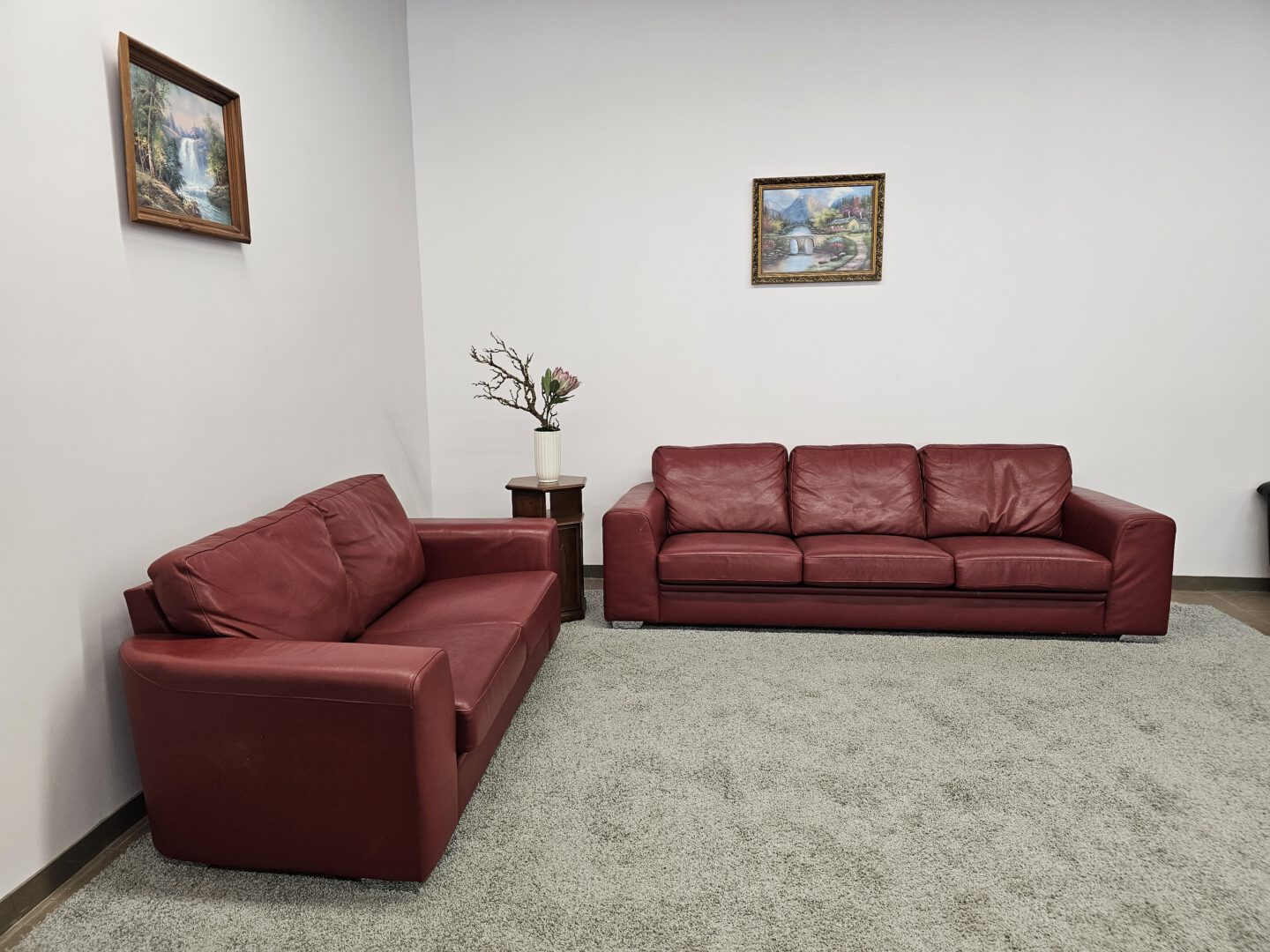 Natūralios odos komplektas