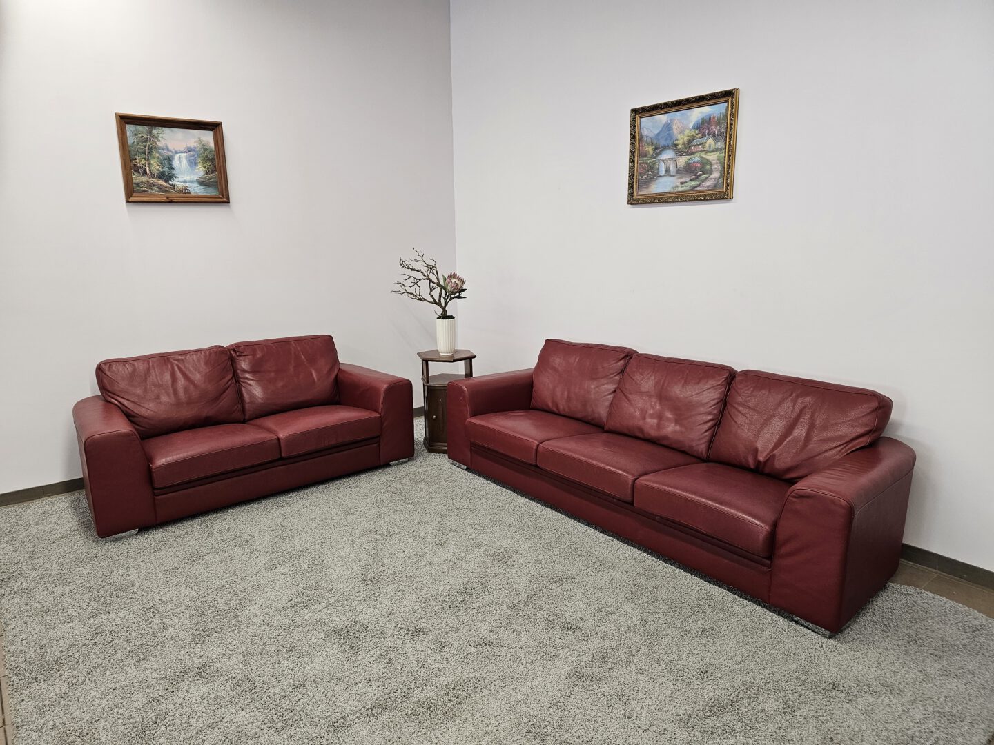 Natūralios odos komplektas