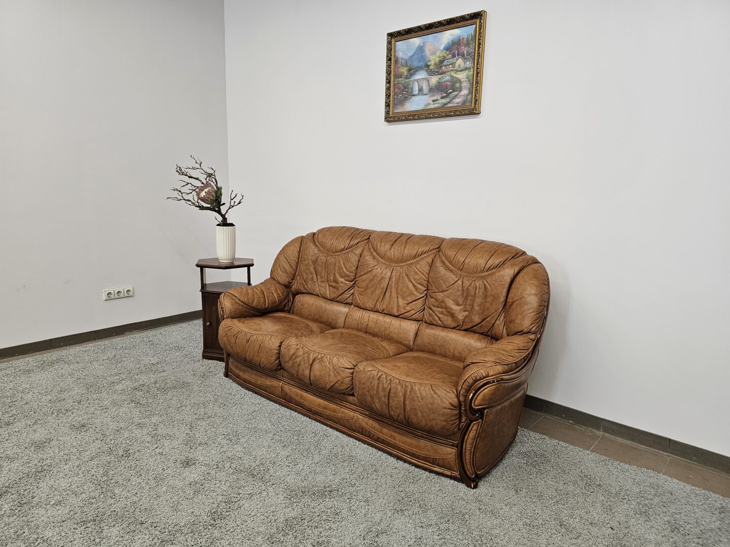 Natūralios odos sofa