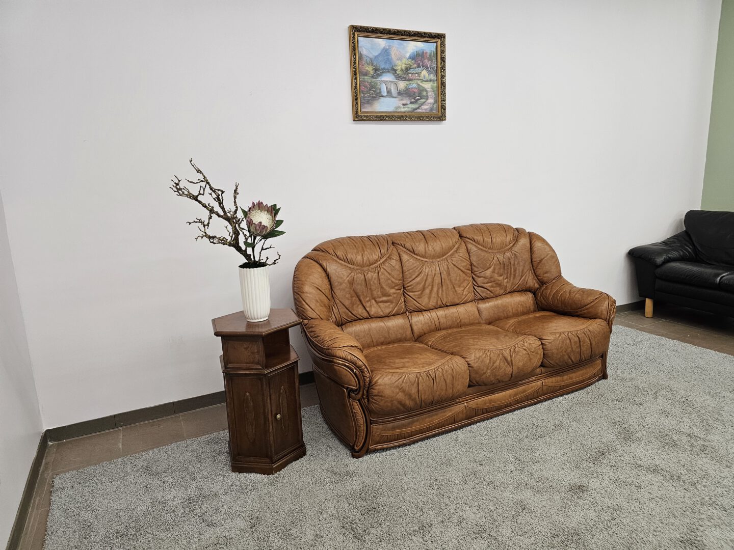 Natūralios odos sofa