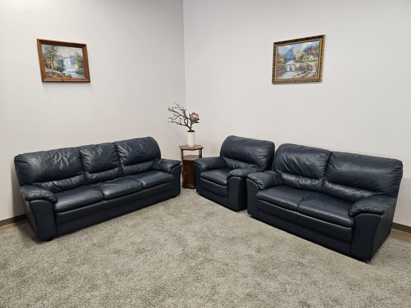 Natūralios odos komplektas